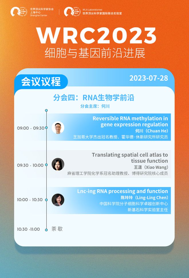 香港2023全年免费资料，前沿研究解释落实_完整版56.60.69