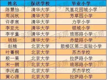 2004新奥精准资料免费提供，深入解答解释落实_3DM86.8.44